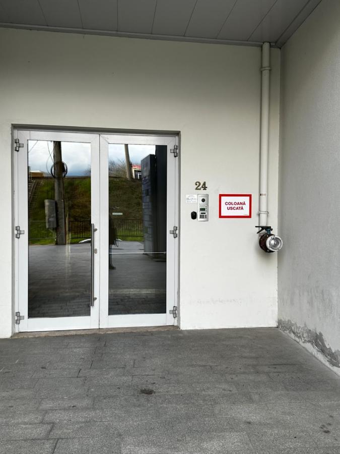Central Apartment Timisoara Exterior photo